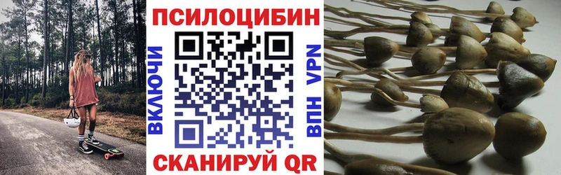 Псилоцибиновые грибы ЛСД  наркота  Кола 